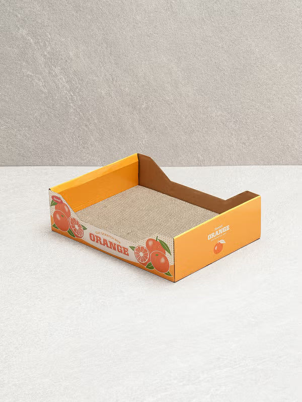 [다이소] [Pet] Kotak Scratcher Motif Jeruk / 🐾 [펫] 오렌지 박스 스크래쳐