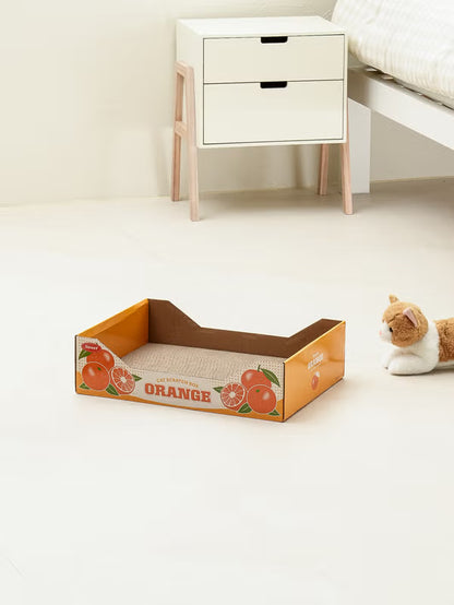 [다이소] [Pet] Kotak Scratcher Motif Jeruk / 🐾 [펫] 오렌지 박스 스크래쳐