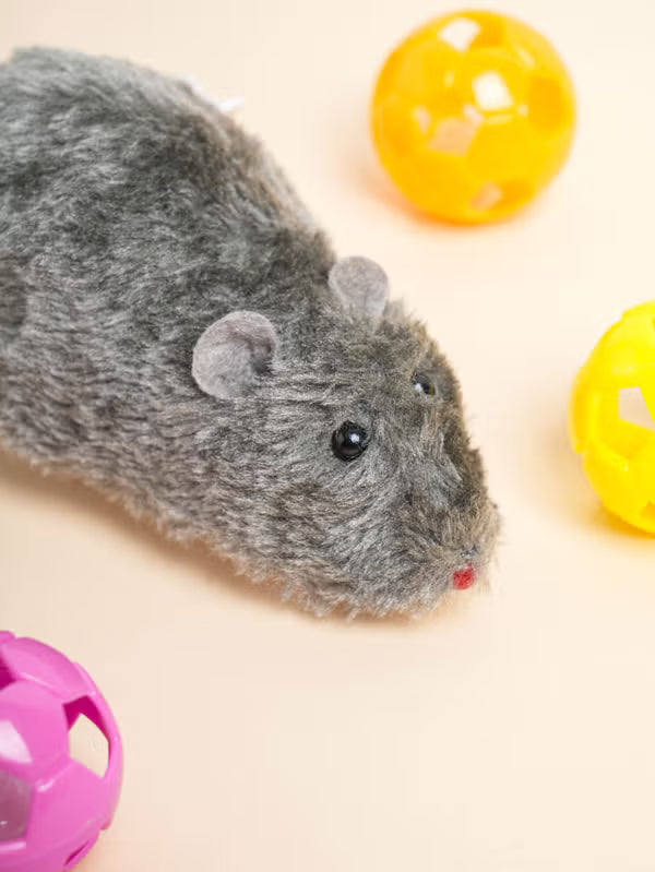 [다이소] [Pet] Mainan Tikus Pegas untuk Kucing / 🐭 [펫] 고양이용 태엽 쥐 완구