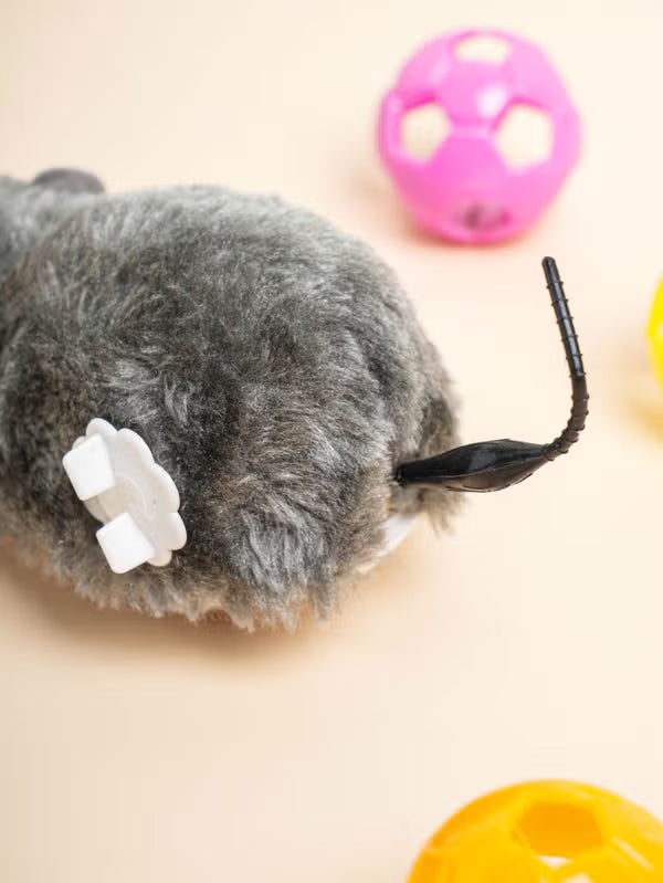 [다이소] [Pet] Mainan Tikus Pegas untuk Kucing / 🐭 [펫] 고양이용 태엽 쥐 완구